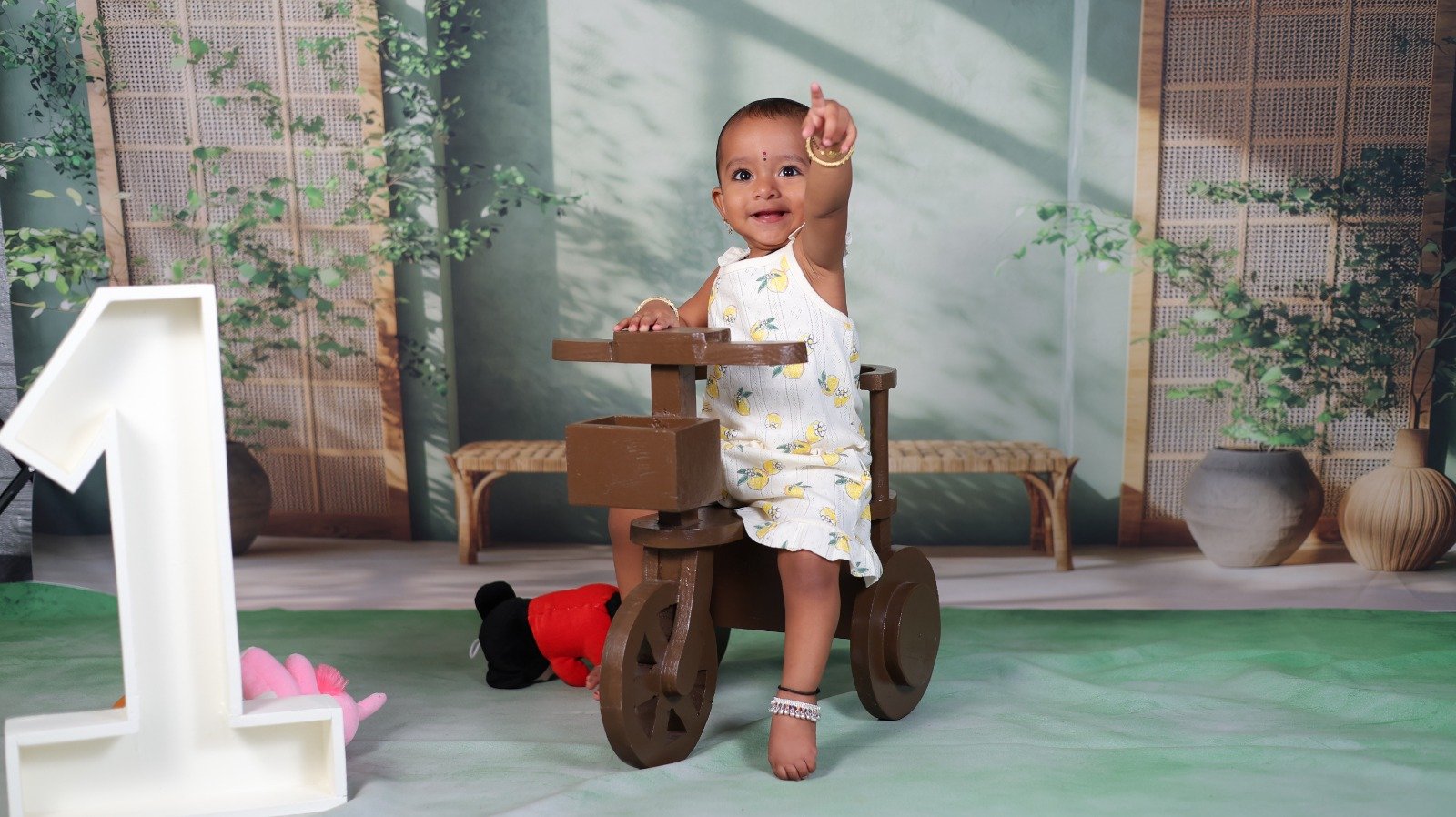 1st Birthday Rustic Tricycle